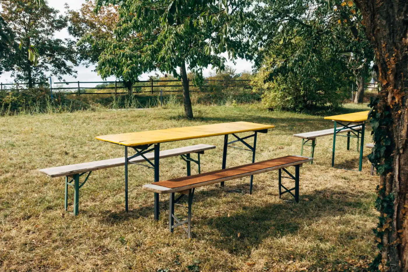 Biertischgarnituren auf einer Wiese unter Bäumen, noch ohne Gäste.